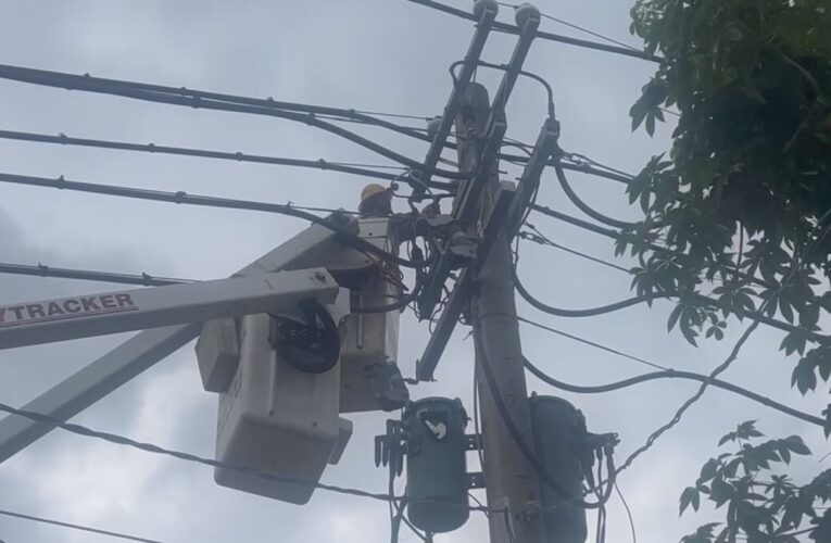 高雄鼓山區清晨因松鼠觸電停電 台電兩小時內完成搶修