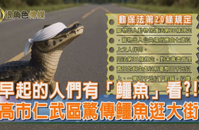 鱷魚逛社區大街｜高市仁武區路人驚呆 早起民眾竟有「鱷魚」看