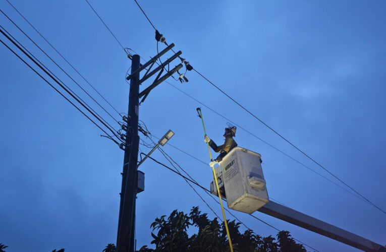 端午連假 台電新營區處：穩定供電不打折