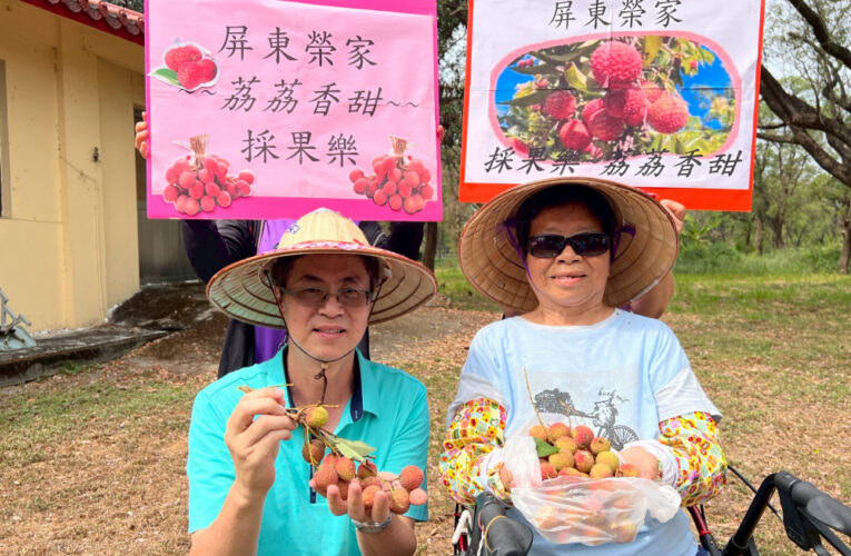 屏東榮家懷舊好滋味-住民樂採荔枝