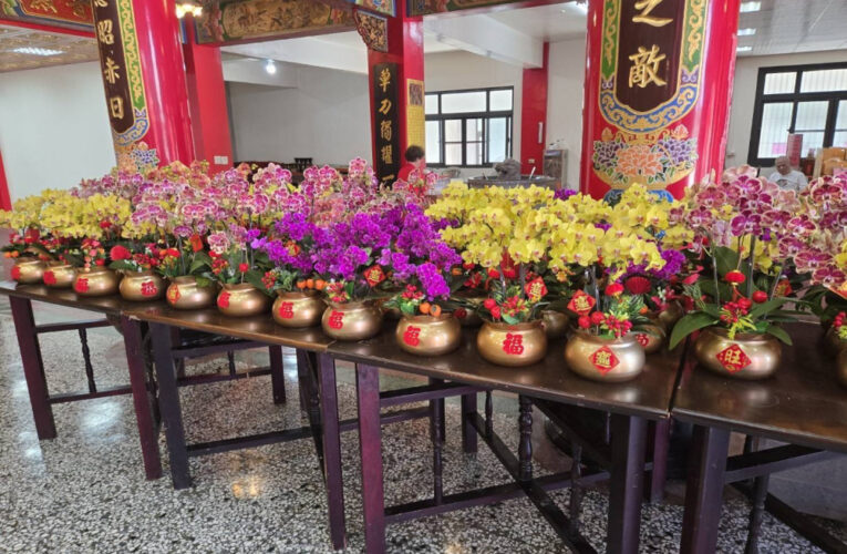 臺南市農業局媒合蘭花園業者與廟宇推廣蝴蝶蘭 信衆大讚好點子 供奉蘭花表敬意