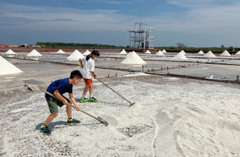 探索濕地自然生態場域 鹽田騎跡環教生動　