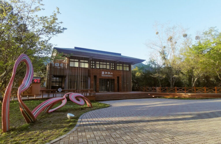 巨木陪你一起聽音樂　拉拉山巨木音樂會揭開暑假旺季旅遊序幕