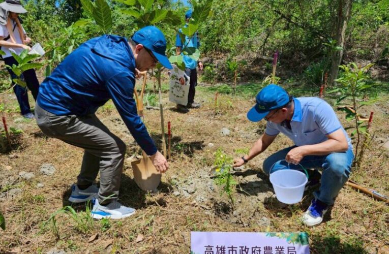 高市打造「生態樹島」抑制入侵種銀合歡 官民協力復育半屏山原生林守護生物多樣性