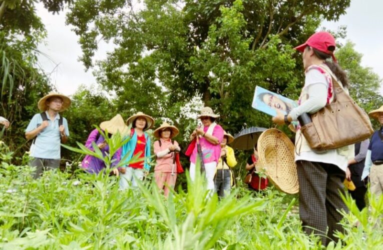深度體驗自然結合人文之旅　桃竹苗分署艾草DIY活動邀您共度端午趣