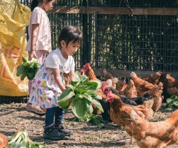 高市農業局攜手高雄農改場協力培訓食農教育特攻隊