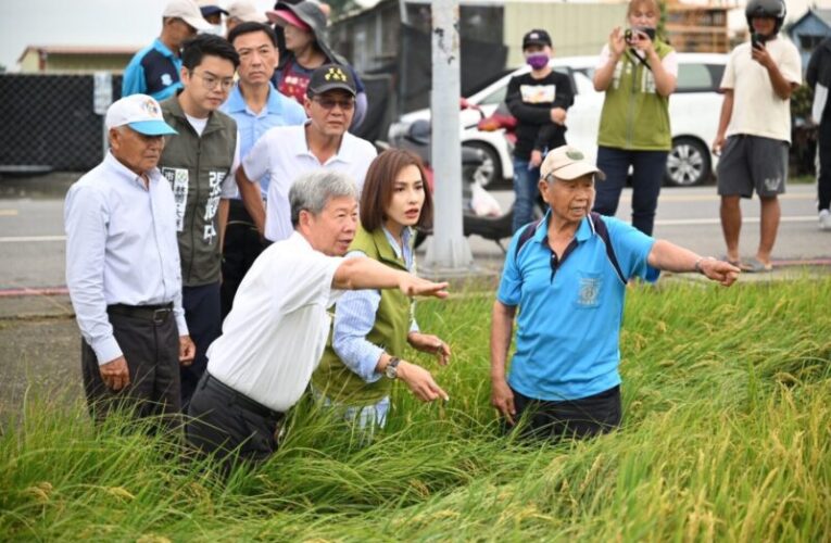 氣候異常致高雄稻米「空包」 邱議瑩邀部會勘災解決農民損失