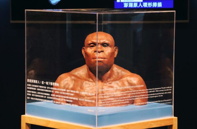 科博館推出限定《丹尼索瓦人到臺灣》特展