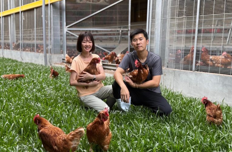 推廣蛋雞產業轉型　台中農業局持續推動友善飼養