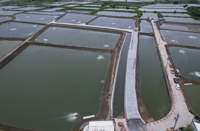 高市海洋局湖內排水改善獲獎！興達養殖區效能大提升
