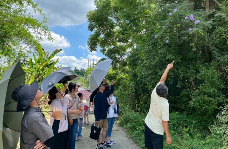 高師大策辦月世界包粽體驗與微旅行 帶領民眾跟著月桃香走田寮
