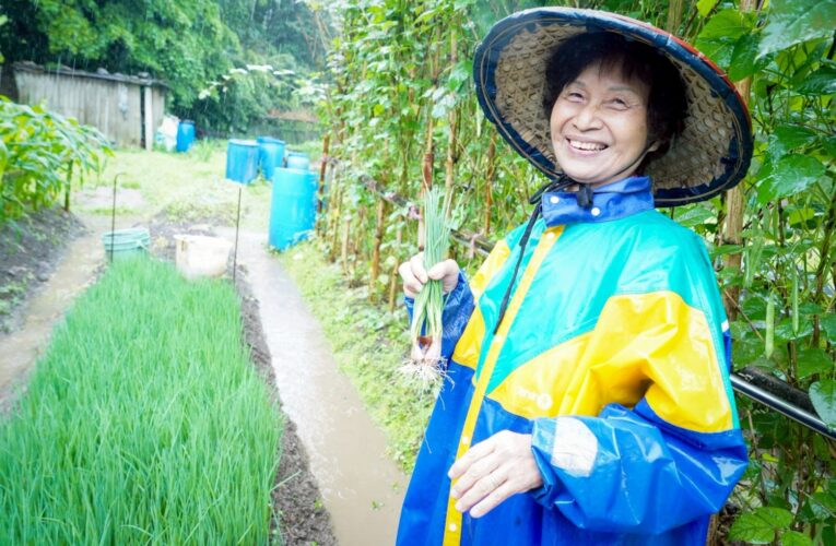 珠蔥媽媽用愛耕耘！77歲胡陳偏種出甘甜珠蔥　傳遞家的滋味