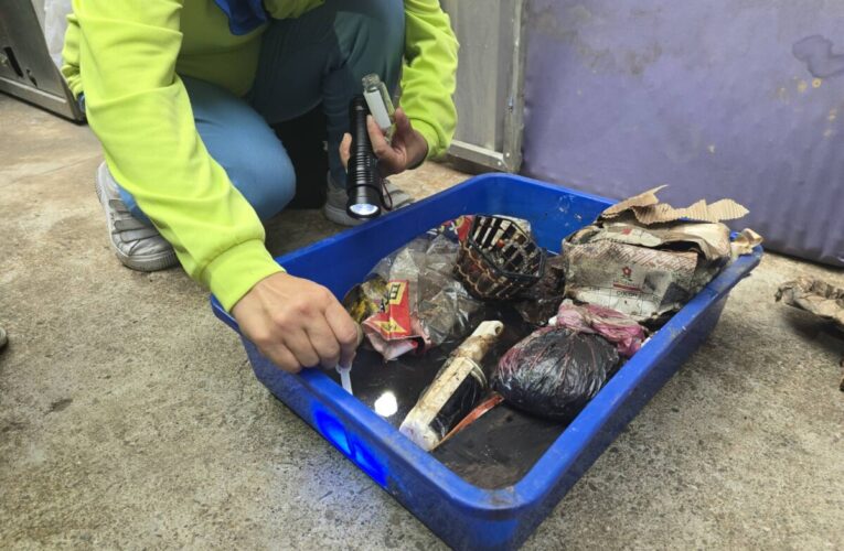 雨後高溫登革熱病媒蚊孳生風險高　高雄市衛生局籲落實清除環境積水容器