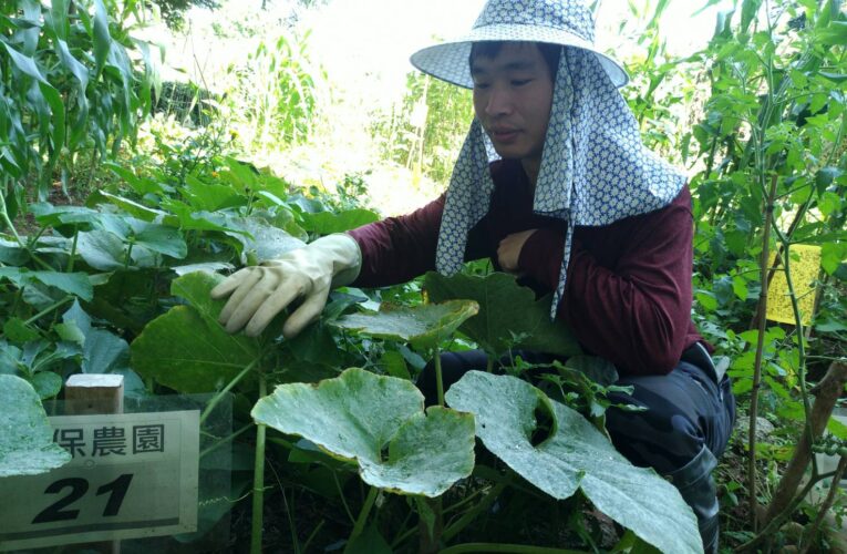 台中環保農園限時報名　30名市民免費享農趣5個月
