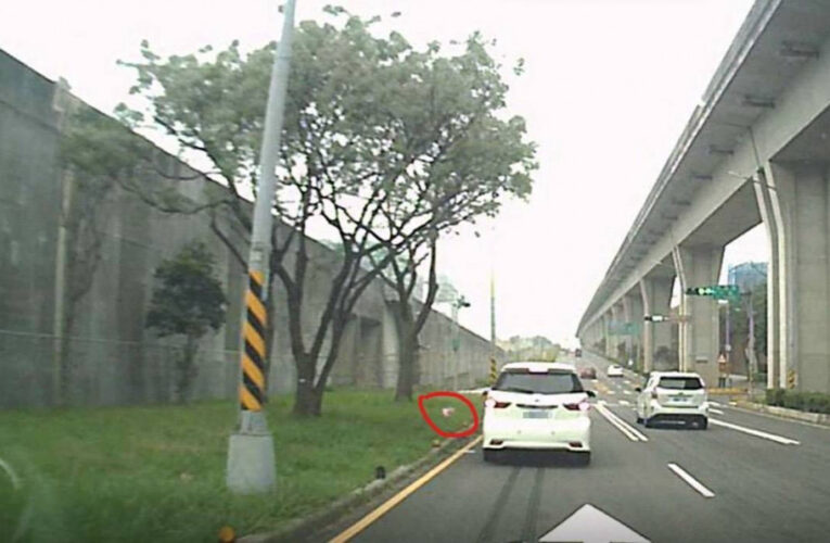 守護市容環境不手軟 桃園市環保局7月起針對亂丟菸蒂、亂吐口香糖等六項行為加重裁罰