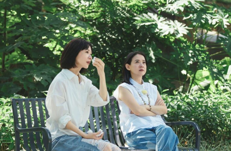 《我們回家吧3》強勢回歸　跨國旅程帶來全新感動與驚喜