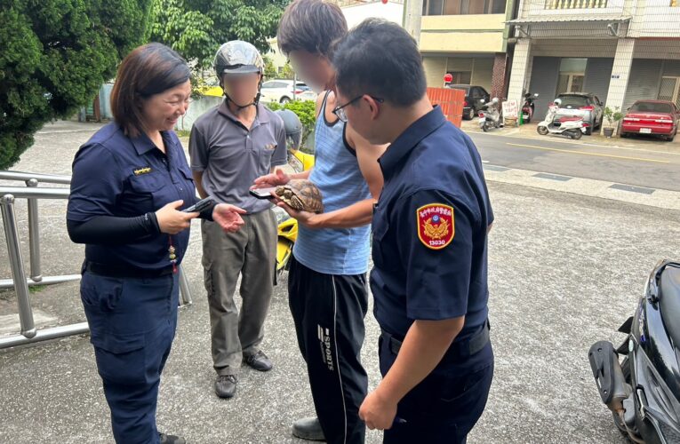 烏龜翻牆「越獄」　熱心民眾偕警聯手找回飼主