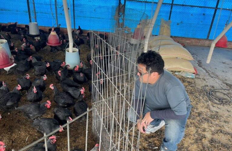 桃市洺鈞畜產奪綠色願景獎　研發無抗生素養殖技術展青創實力
