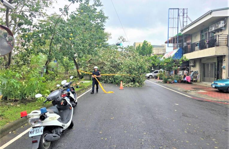 颱風樹倒阻道路　北鎮警風雨中排除路障