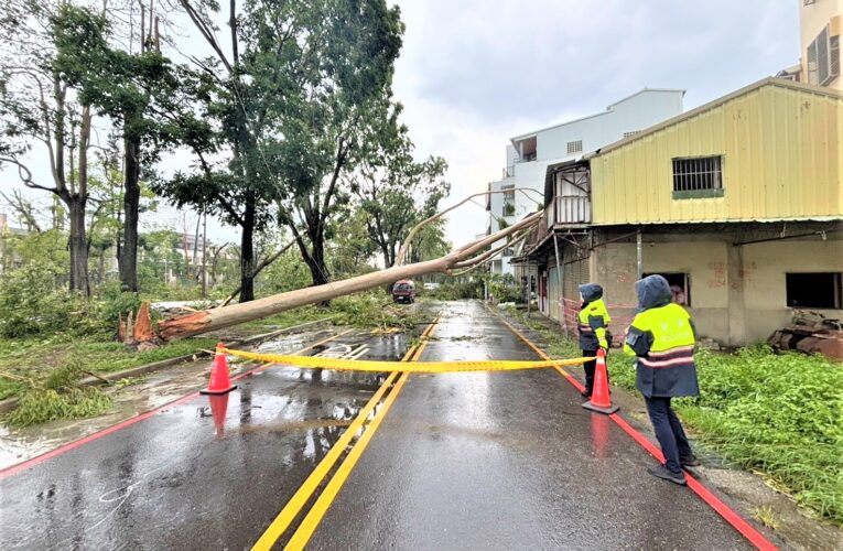 颱風強襲樹倒阻路　八掌警動員協助救災工作