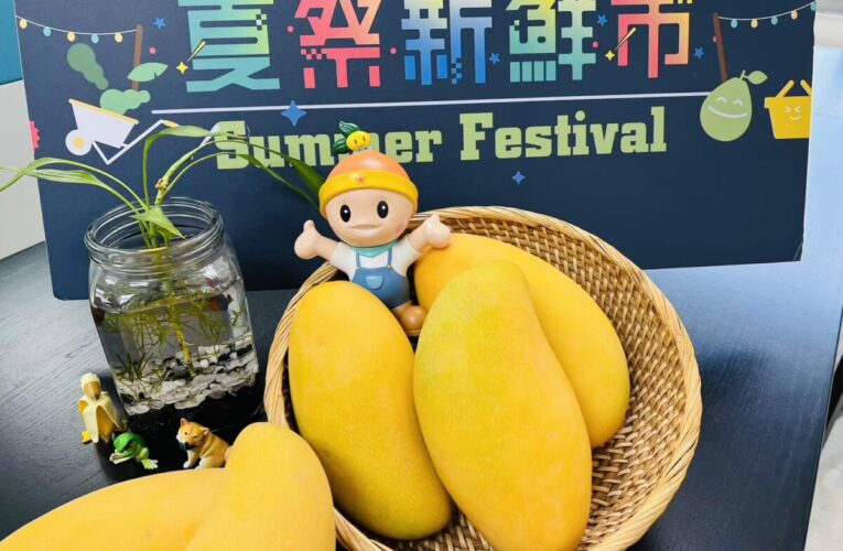 高雄金煌芒果啟動外銷 7月首航新加坡