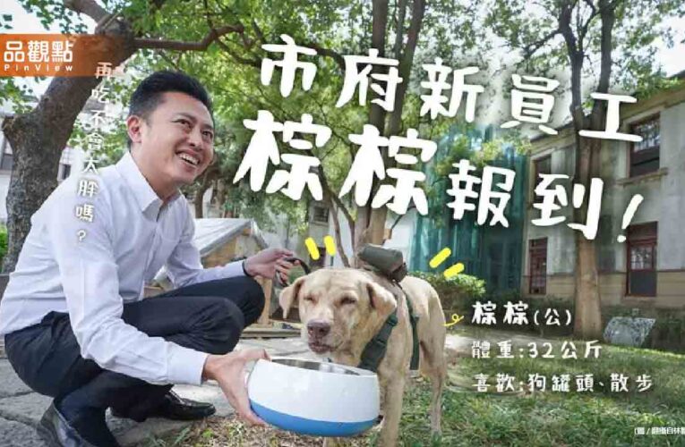林智堅「府犬棕棕」遭爆被棄養！高虹安爆料：已經送回動保所