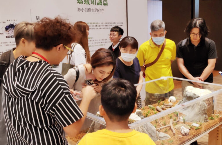 桃園遠百推出螞蟻微觀世界特展　串聯文具募集與浪貓認養傳愛送暖