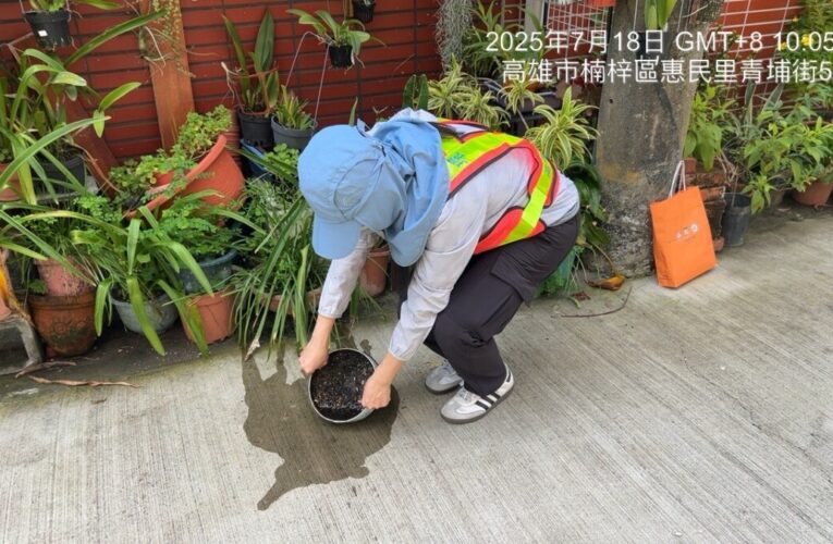 加強雨後積水容器清除 全力防堵登革熱