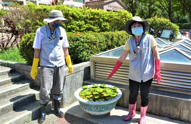 災後防制登革熱　嘉市免費提供孔雀魚滅孑孓