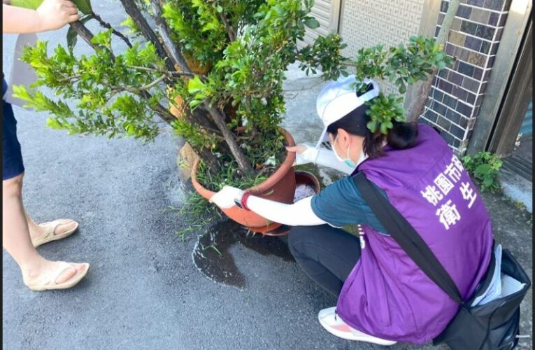 暑假旅遊旺季來臨　當心國內外登革熱找上門