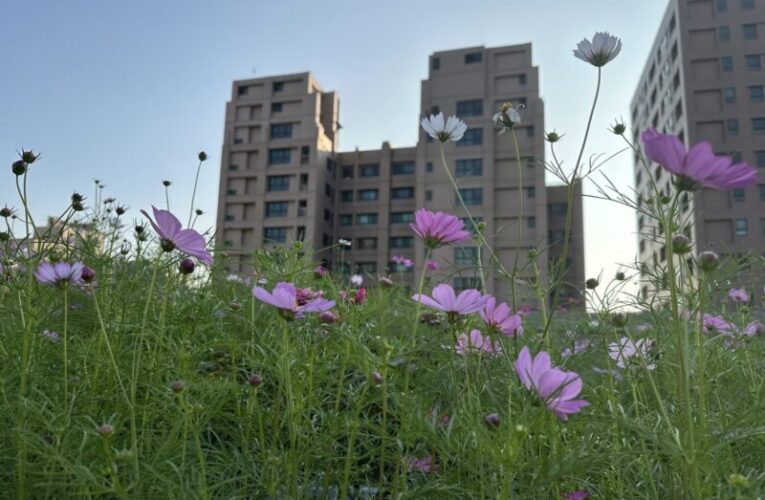 高市再推綠化補助  搶搭體驗淨零綠生活
