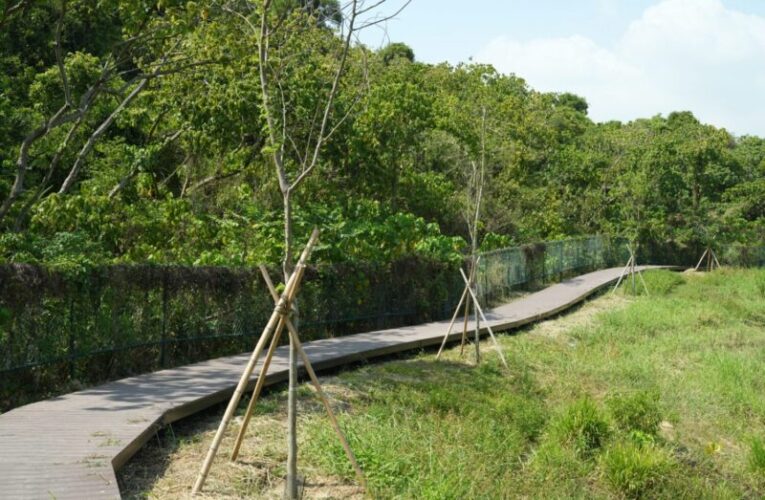 高雄觀音湖成生態景點 榮獲2025建築園冶獎及國家卓越建設獎