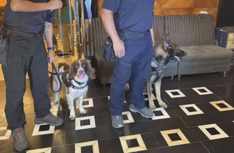 高市府跨局處攜手緝毒犬 啟動暑期青春專案 守護青少年安全