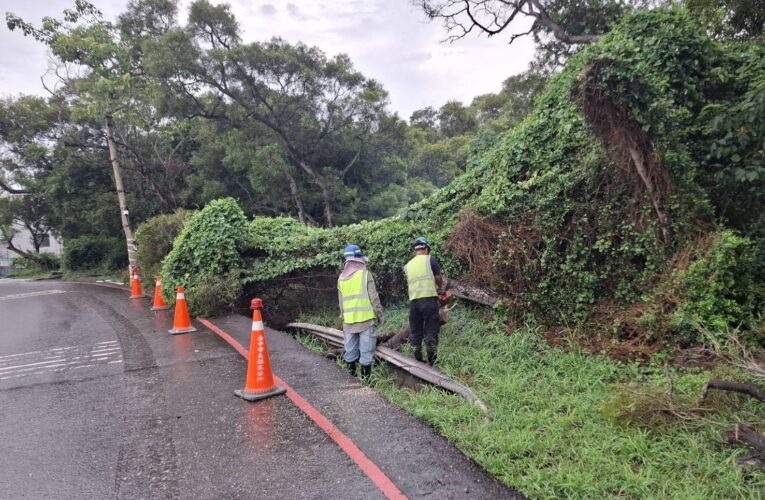 【丹娜絲颱風尾】6米高路樹倒塌堵路 烏日警冒雨鋸樹清障恢復通行