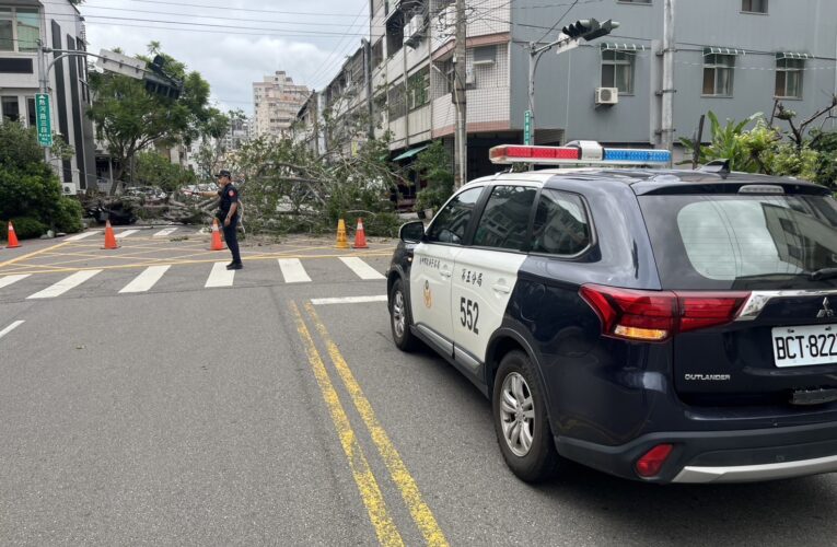 北屯路樹倒塌波及車輛 警即時疏導無人傷