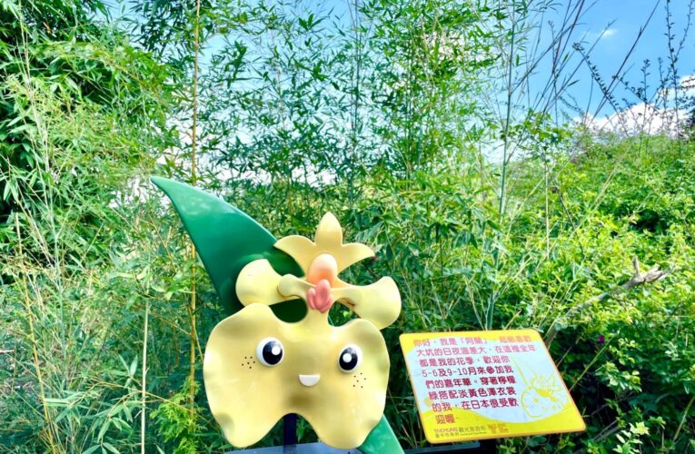 台中人最愛休閒活動之一！大坑10號特產步道好吃又好玩