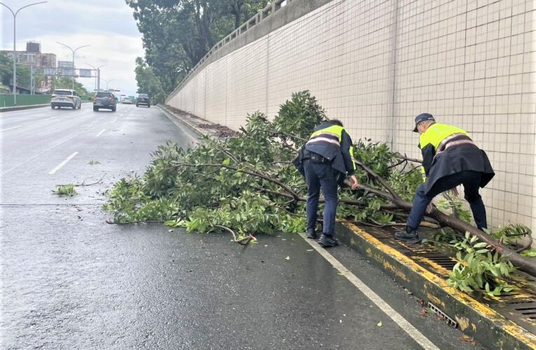 連日豪雨路樹倒塌　竹園警即時清除排除危害
