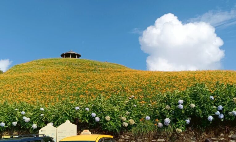 跟著愛玉小蜂走！金針山福卡地夏日親子DIY涼夏登場