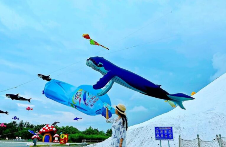 不畏風災打擊！雲管處與在地業者共築鹽鄉  8/9起田馥甄小花療癒人心