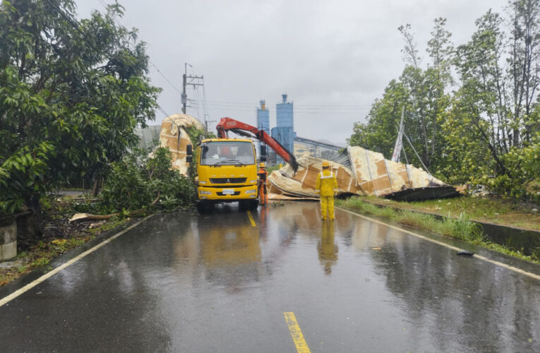 楊柳造成臺南多起停電事故  台電：積極搶修