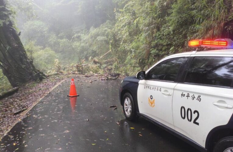 大雪山因連日豪雨路樹倒塌　和平警啟動交管