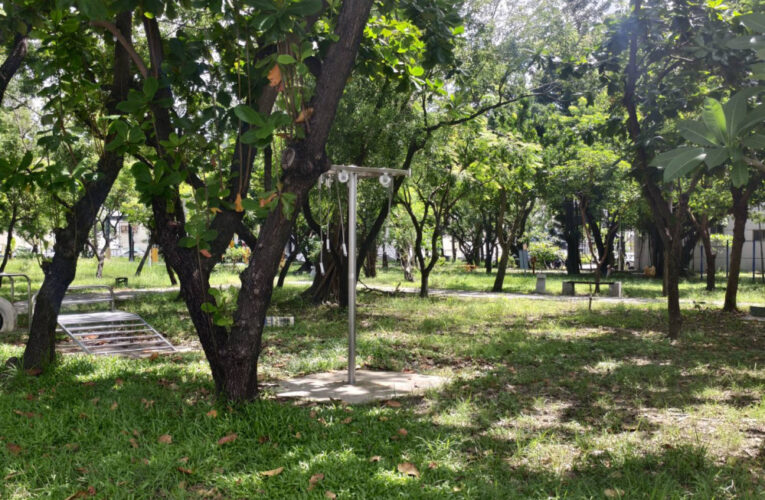 完成清理行道樹公園傾倒樹木  恢復市容