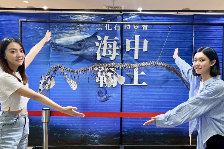 《化石先生博覽會－海中霸王》特展登陸台南 免費開放參觀