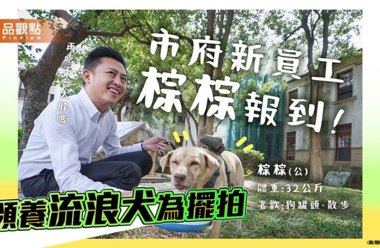 林智堅棄養市犬爭議 再次驗證施政只在乎擺拍