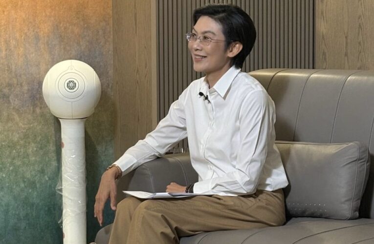 林岱樺認遭摧毀又重生 直言黨內「該做的做 該換的換」