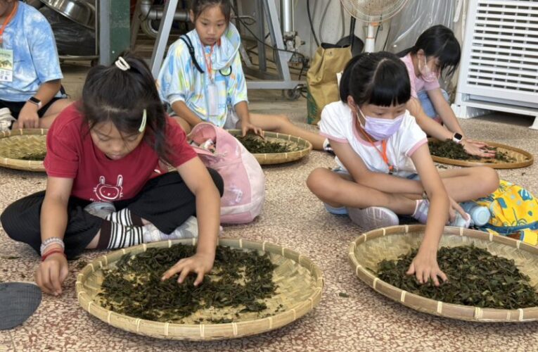 桃園市農業局推動自然教育　《植感桃園夏令營》圓滿落幕