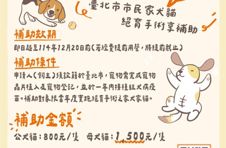 毛孩絕育快申請！北市動保處補助款額度有限　先搶先贏