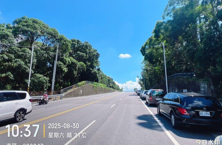 嘉義市府駁斥倒樹未清理謠言　已報警追查假消息來源