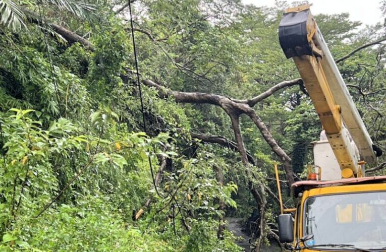 楊柳颱風侵襲　台電新竹區處緊急搶修已完全恢復供電復電率100%