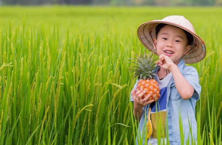 「2025大樹水樂園」盛夏開跑！ 四大主題小旅行 8/4手刀上網搶購